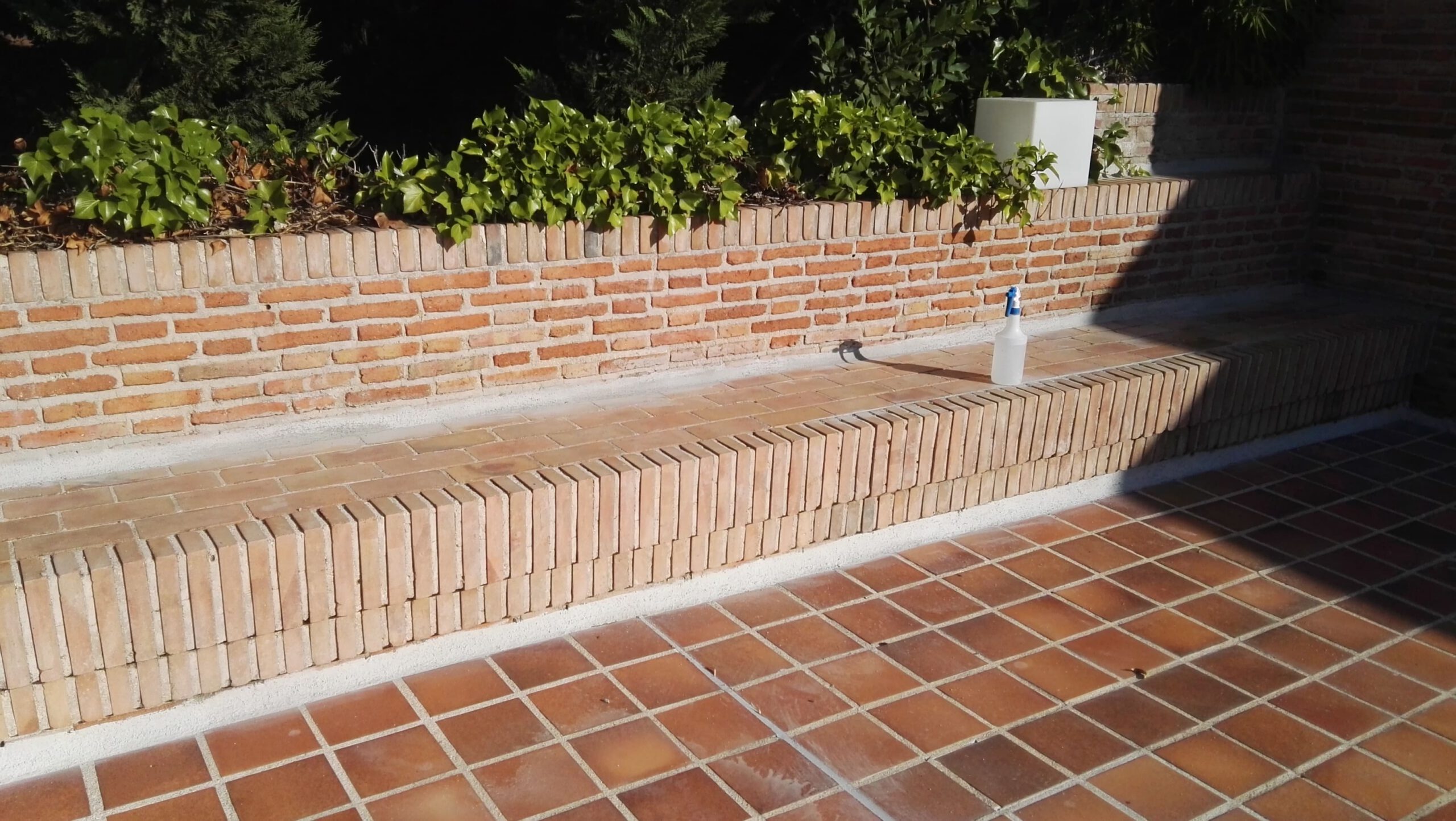 demostración limpieza con proquil Alca