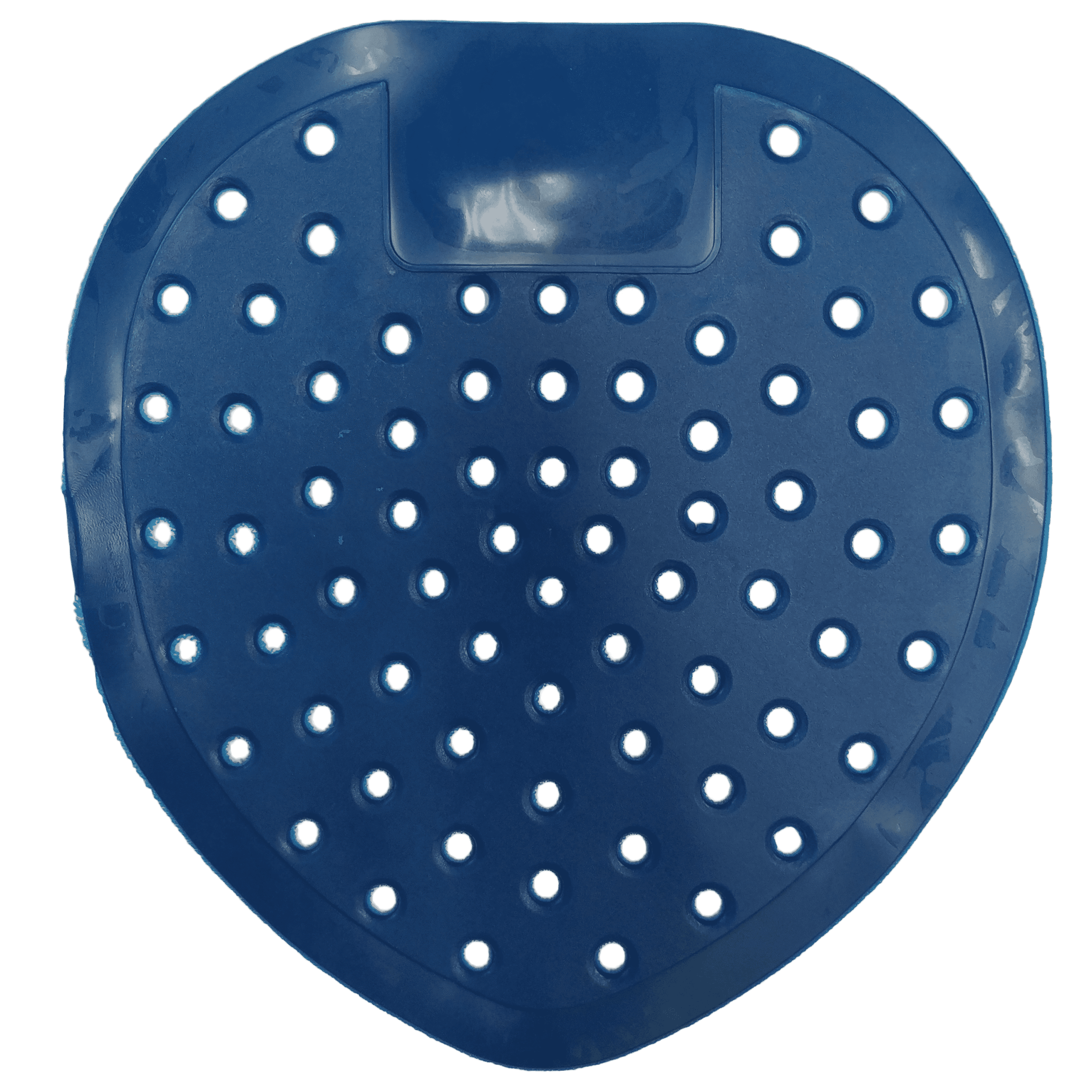 plantilla urinario bactericida