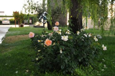Jardin SATECMA